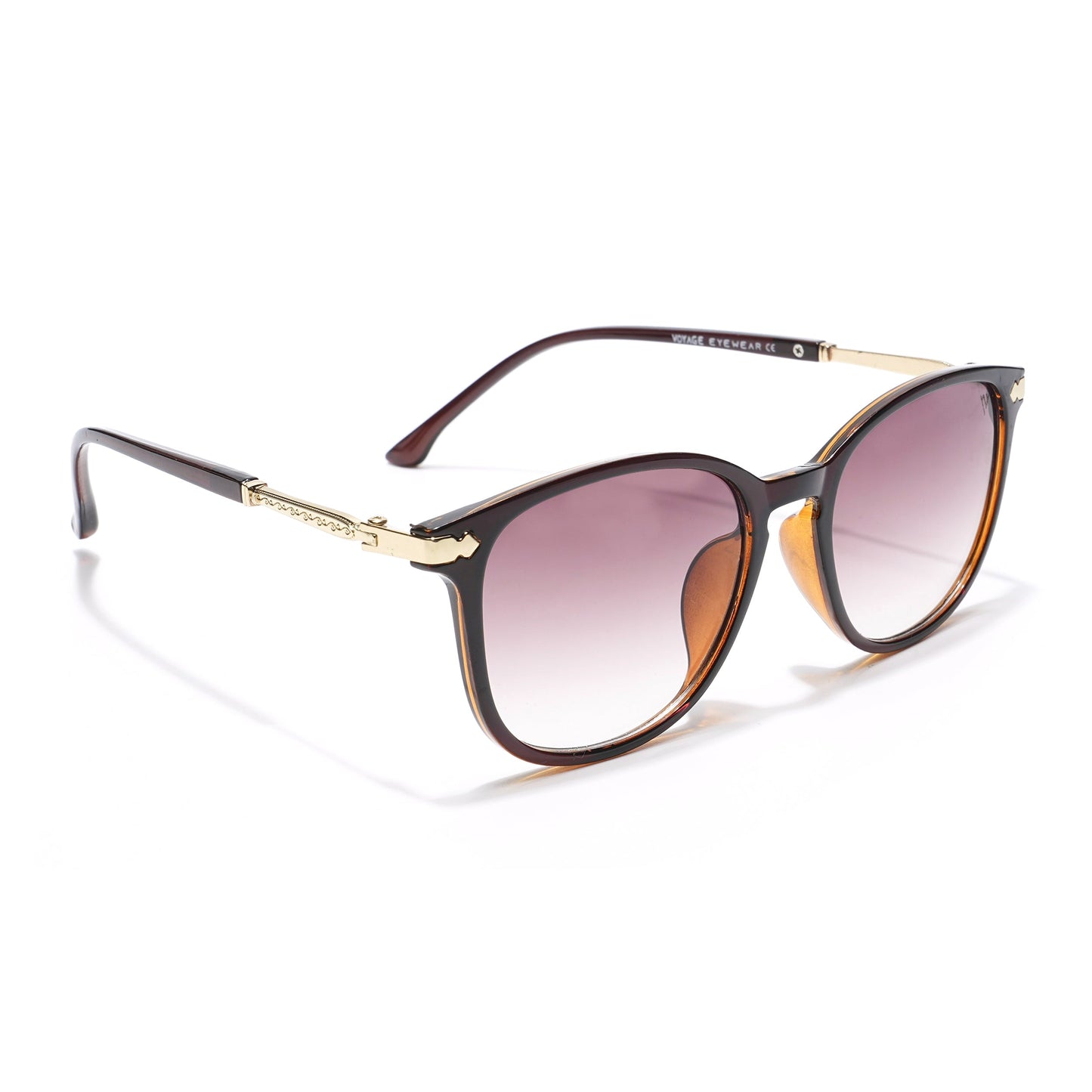 MG 3183 - Sunglasses