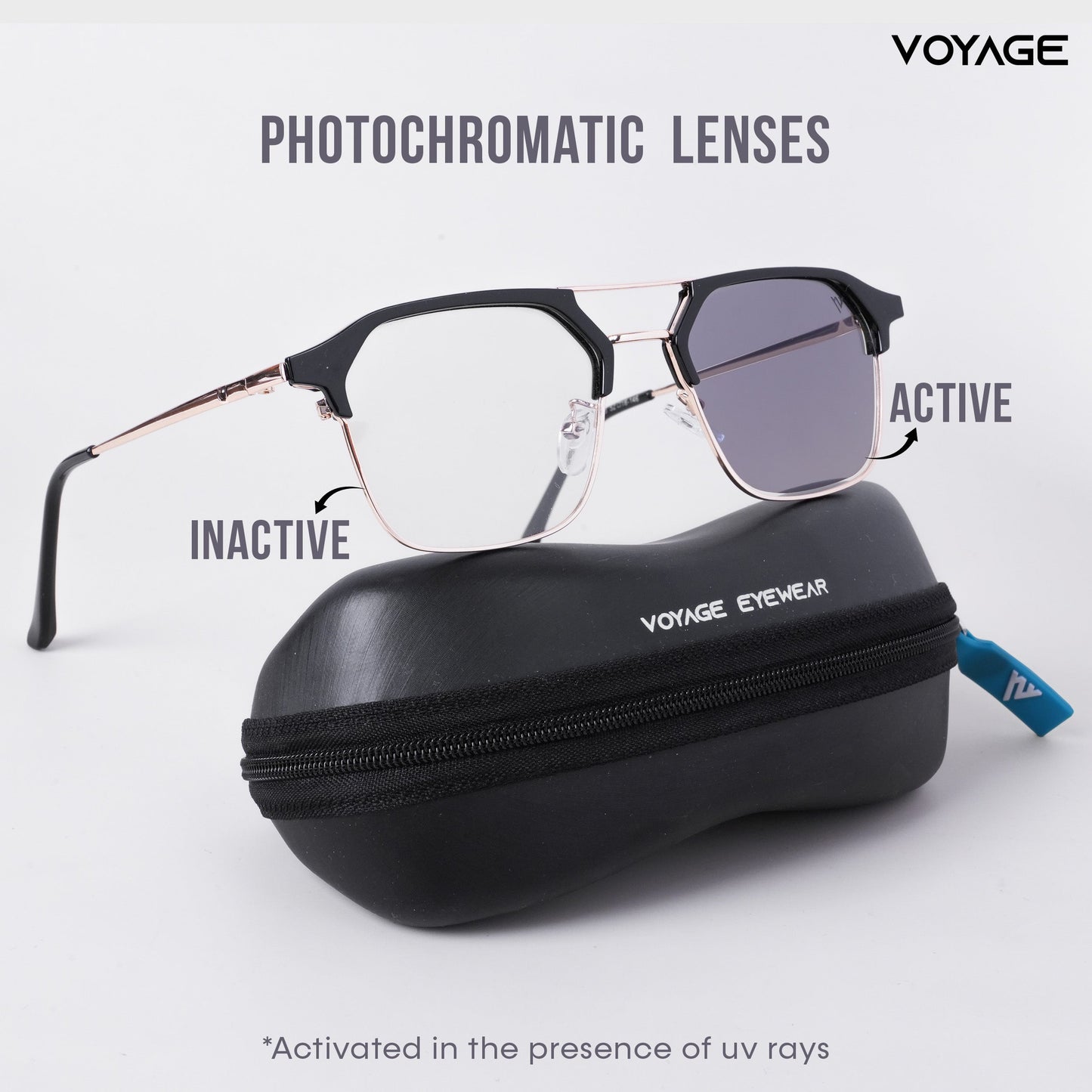 MG 5075 - Sunglasses